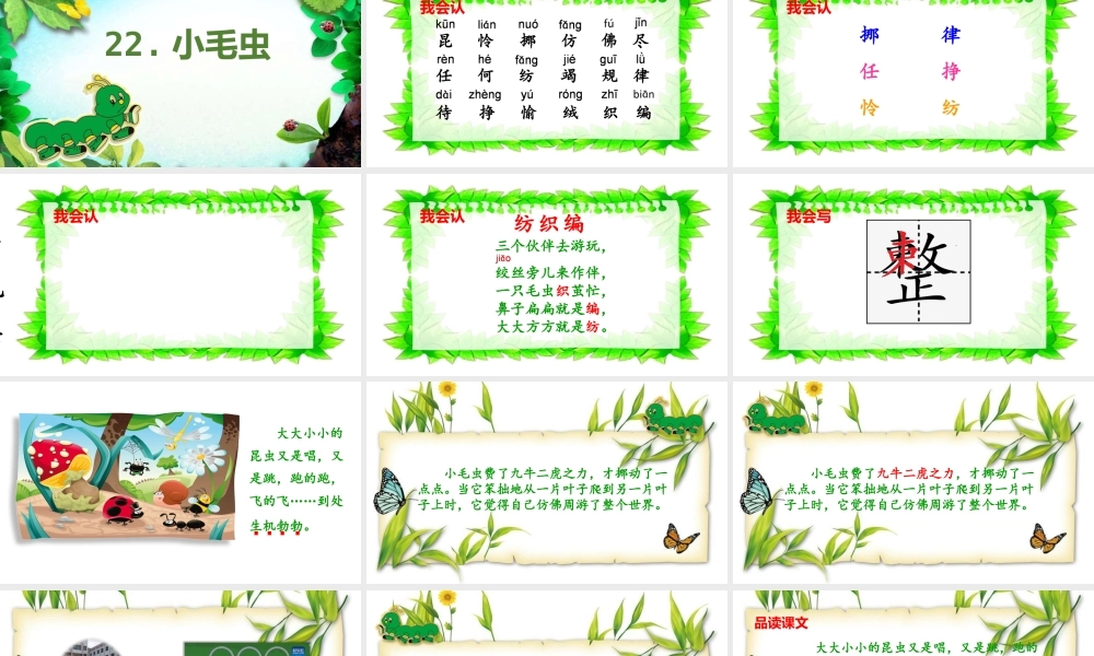 《22 小毛虫 》 第8套（省一等奖）优质课.pptx