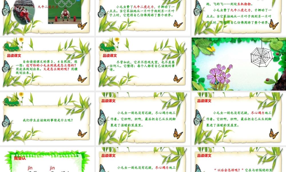 《22 小毛虫 》 第8套（省一等奖）优质课.pptx