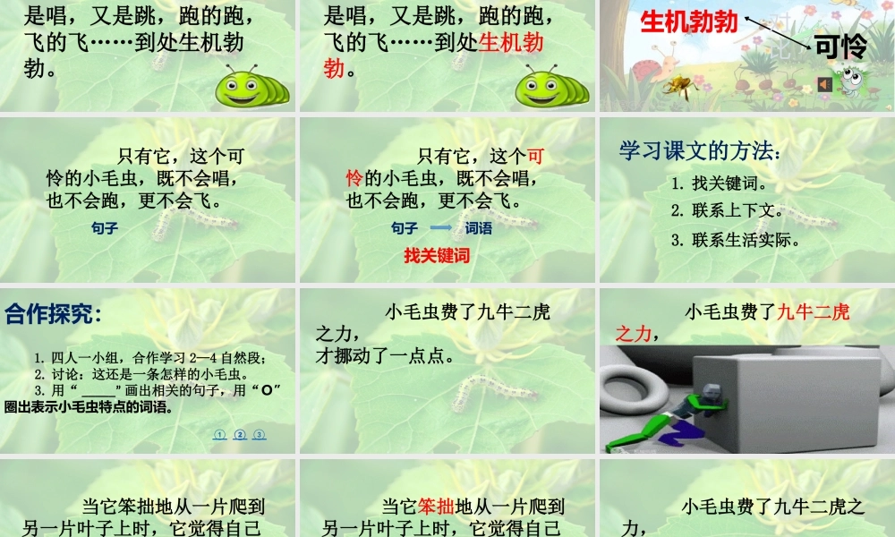 《22 小毛虫3》优质课.pptx