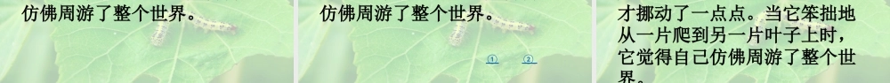 《22 小毛虫3》优质课.pptx