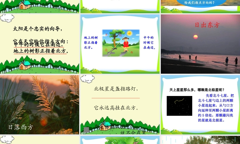 《17 要是你在野外迷了路 》 第5套（省一等奖）优质课.pptx