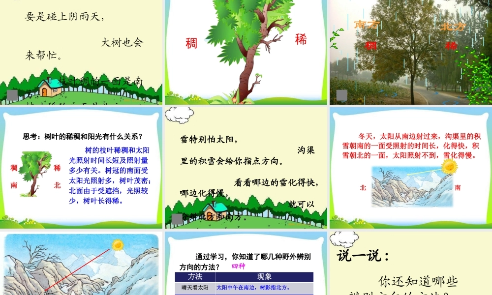 《17 要是你在野外迷了路 》 第5套（省一等奖）优质课.pptx