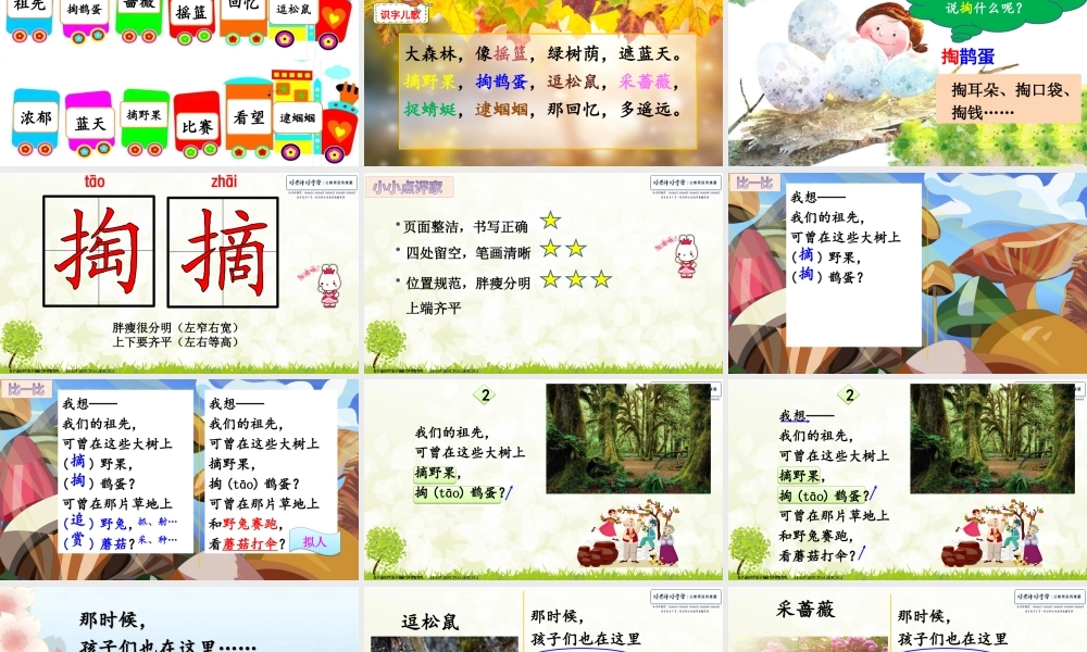《23 祖先的摇篮 》 第3套（国家一等奖）优质课.ppt