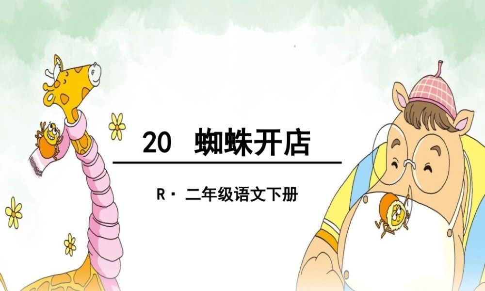 《20 蜘蛛开店 》 第3套（国家一等奖）优质课.ppt