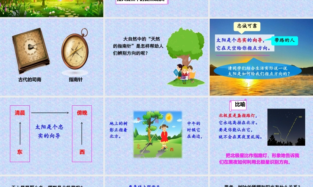 《17 要是你在野外迷了路 》 第10套（省一等奖）优质课.pptx