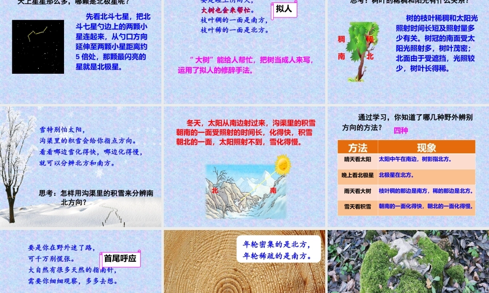 《17 要是你在野外迷了路 》 第10套（省一等奖）优质课.pptx