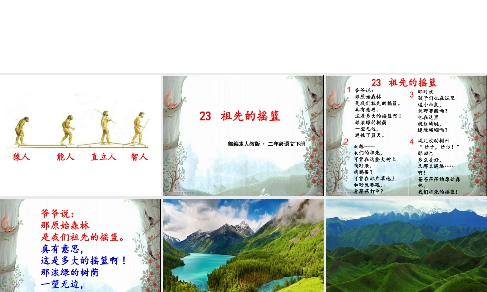 《23 祖先的摇篮 》 第9套（省一等奖）优质课.ppt