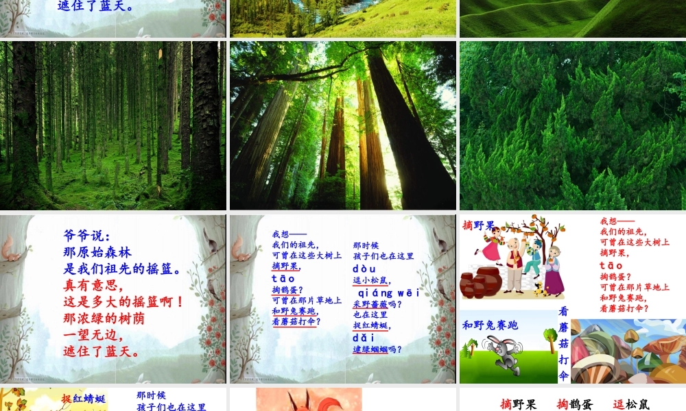 《23 祖先的摇篮 》 第9套（省一等奖）优质课.ppt