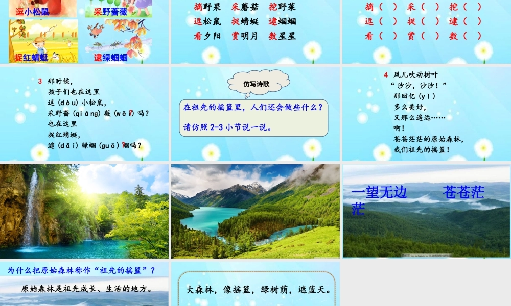 《23 祖先的摇篮4》【何老师】【省级】优质课.pptx