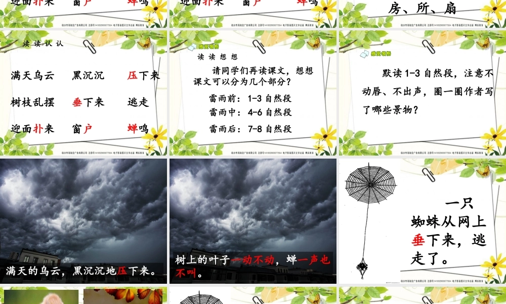 《16 雷雨 》 第4套（省一等奖）优质课.ppt