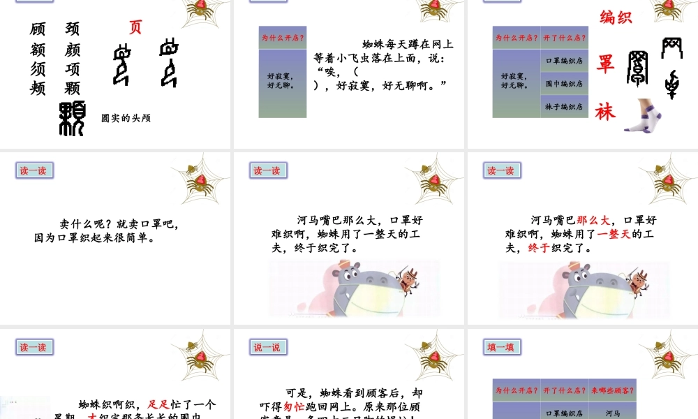 《20 蜘蛛开店 》 第6套（省一等奖）优质课.ppt