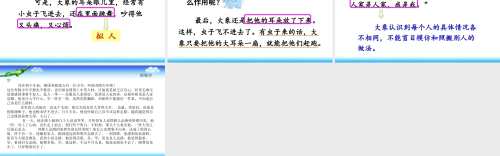 《19 大象的耳朵 》 第3套（国家一等奖）优质课.pptx