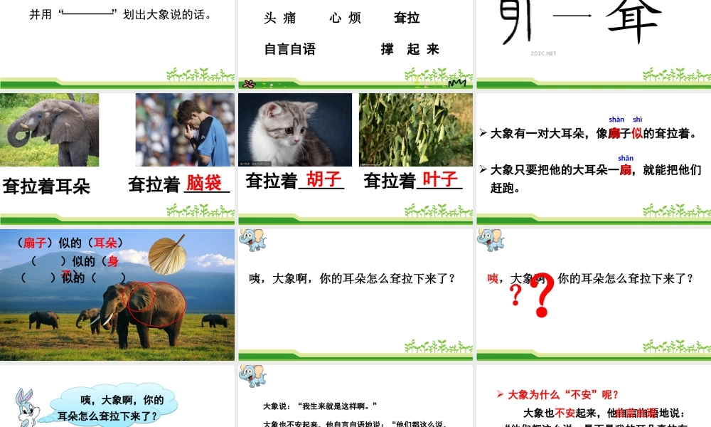 《19 大象的耳朵 》 第8套（省一等奖）优质课.ppt