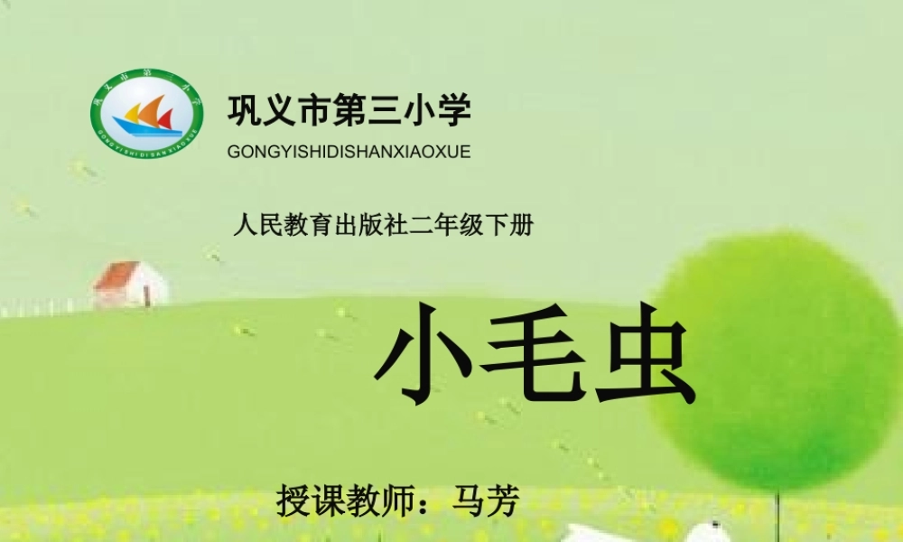 《22 小毛虫 》 第2套（国家一等奖）优质课.ppt