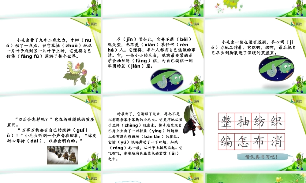 《22 小毛虫 》 第2套（国家一等奖）优质课.ppt