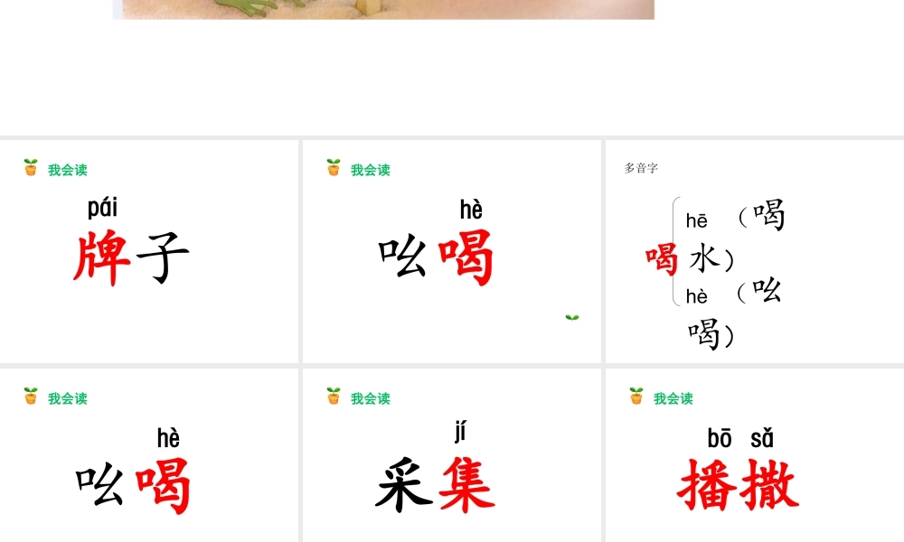 《21 青蛙卖泥塘 》 第5套（省一等奖）优质课.ppt