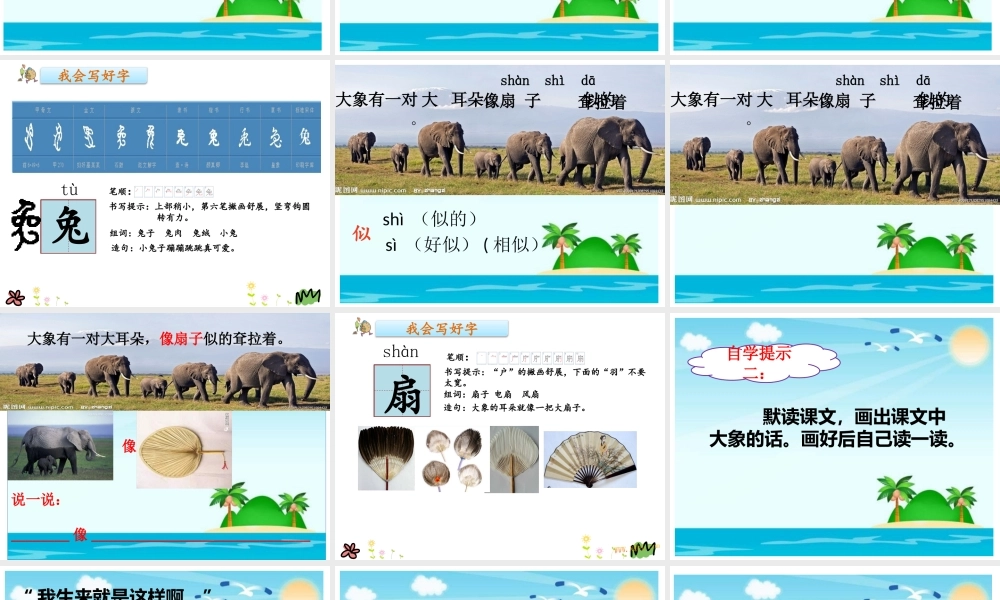 《19 大象的耳朵3》优质课.pptx