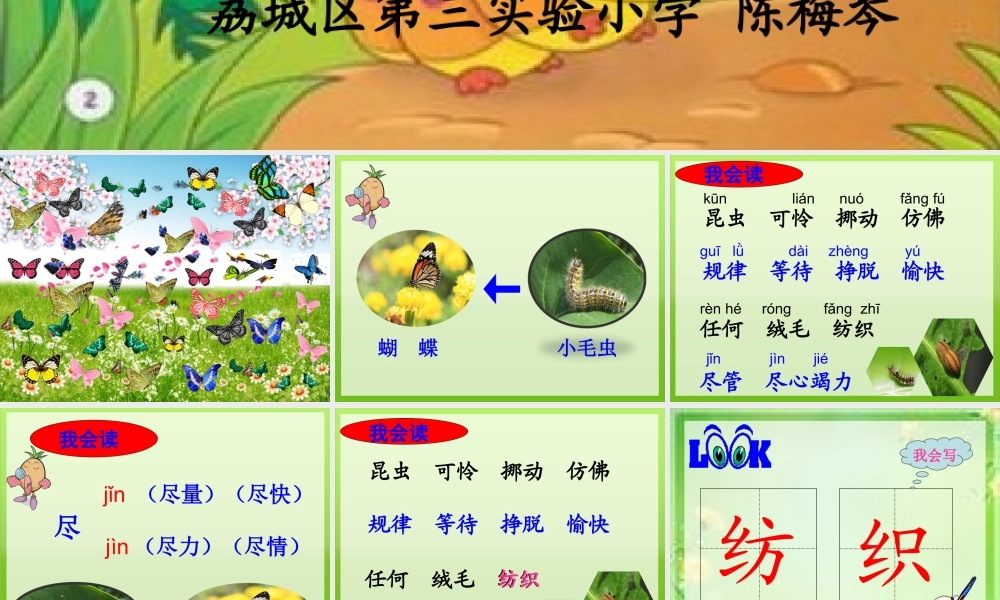《22 小毛虫 》 第7套（省一等奖）优质课.ppt