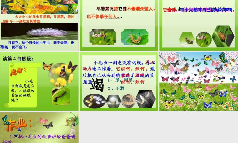 《22 小毛虫 》 第7套（省一等奖）优质课.ppt