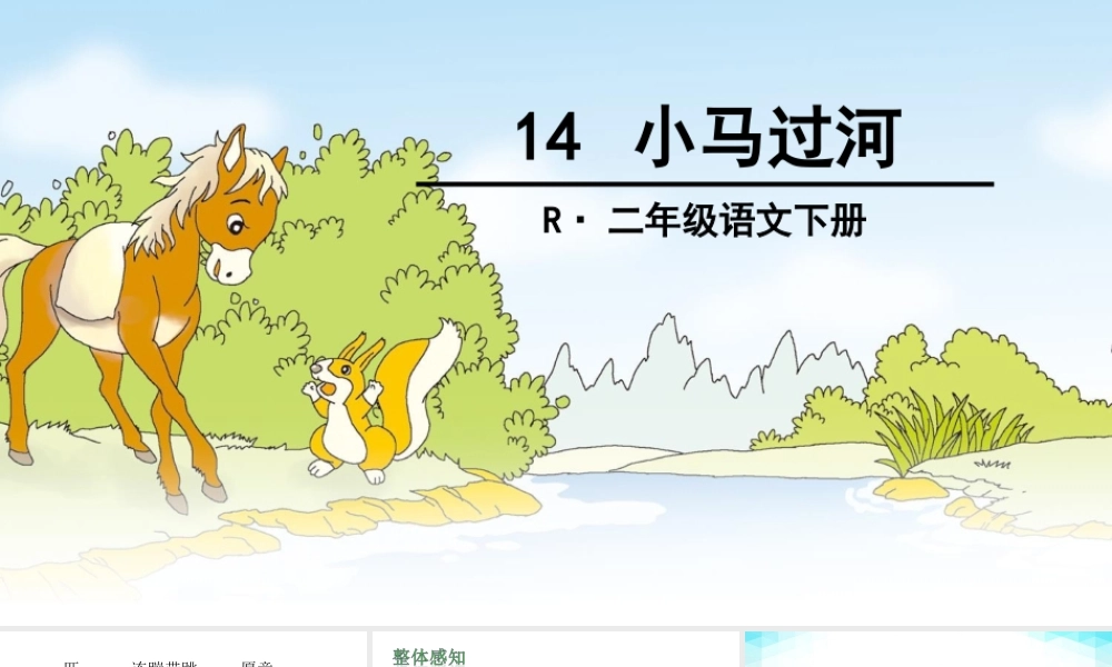 《14 小马过河 》 第7套（省一等奖）优质课.ppt