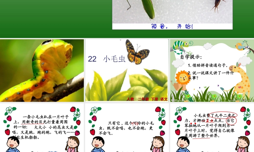 《22 小毛虫2》优质课.ppt