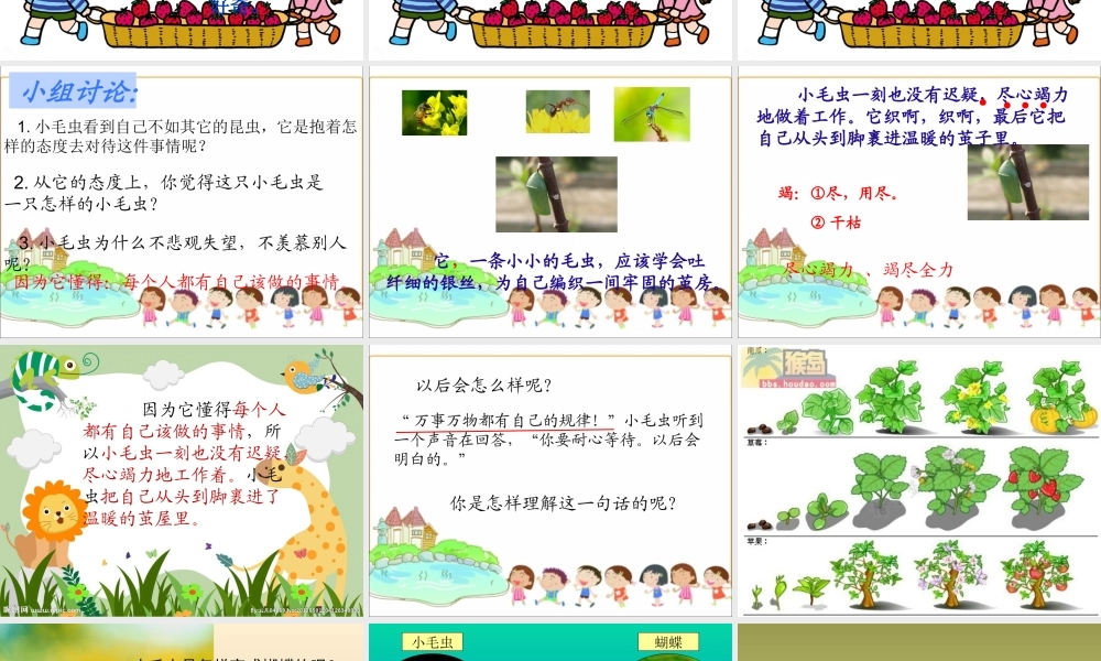 《22 小毛虫2》优质课.ppt