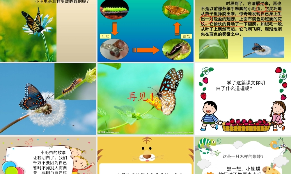 《22 小毛虫2》优质课.ppt