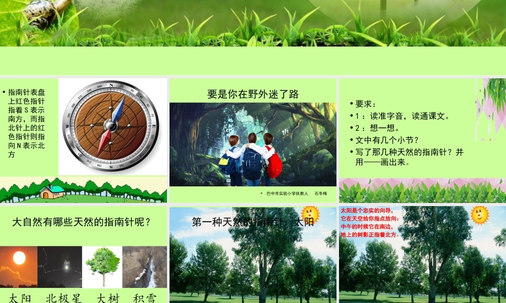 《17 要是你在野外迷了路2》优质课.ppt