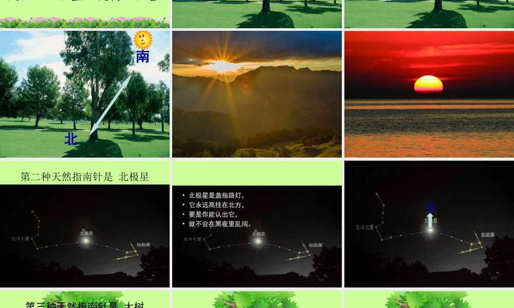 《17 要是你在野外迷了路2》优质课.ppt