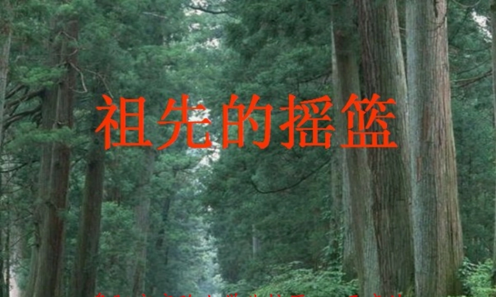 《23 祖先的摇篮 》 第2套（国家一等奖）优质课.ppt