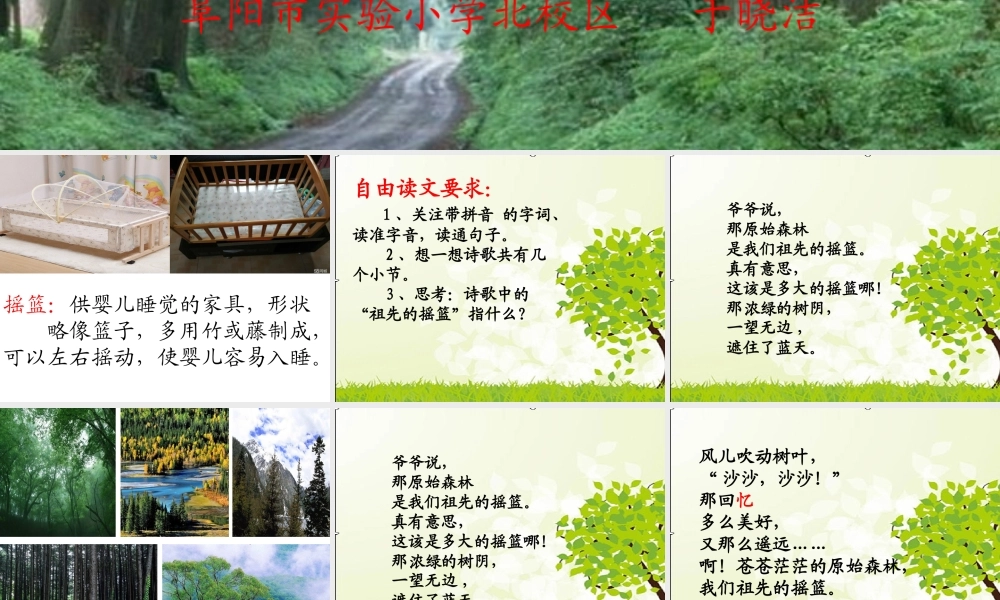 《23 祖先的摇篮 》 第2套（国家一等奖）优质课.ppt