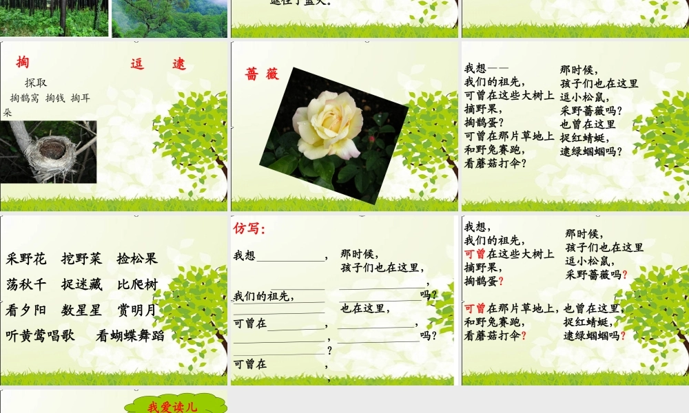 《23 祖先的摇篮 》 第2套（国家一等奖）优质课.ppt