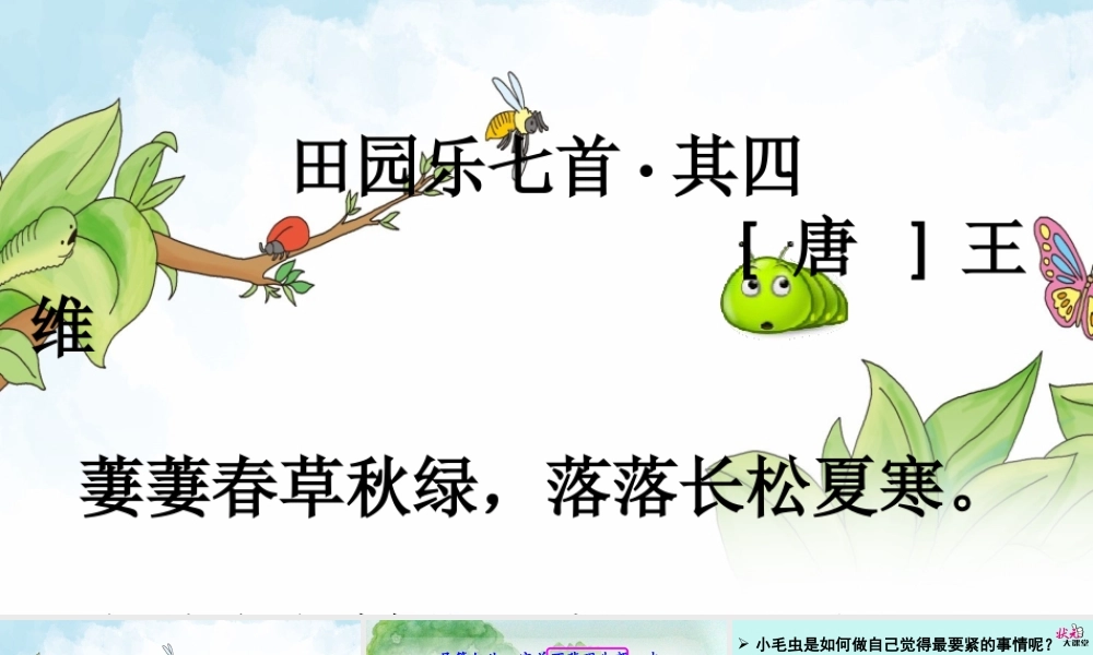 《22 小毛虫 》 第5套（省一等奖）优质课.ppt
