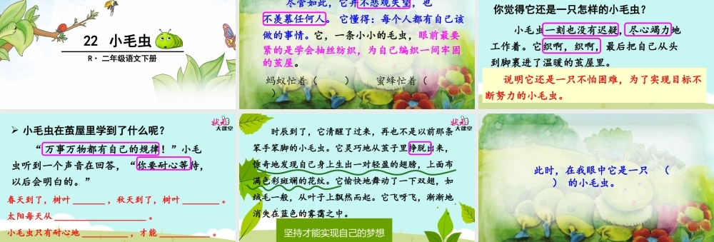 《22 小毛虫 》 第5套（省一等奖）优质课.ppt