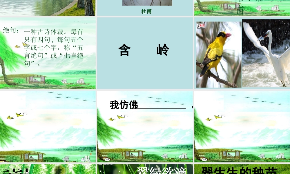 《15 古诗二首：绝句1》优质课.ppt