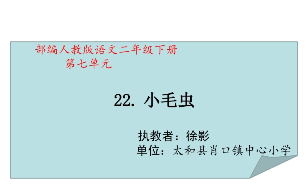 《22 小毛虫 》 第10套（省一等奖）优质课.ppt