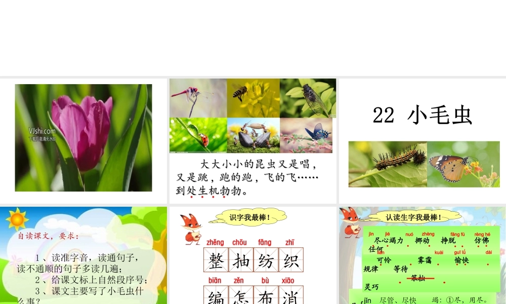 《22 小毛虫 》 第10套（省一等奖）优质课.ppt