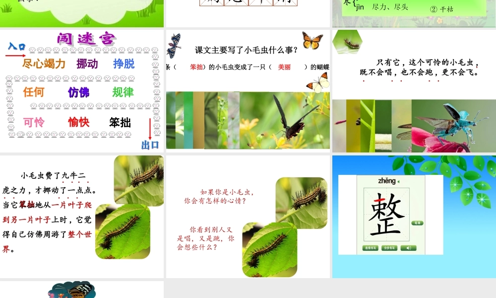 《22 小毛虫 》 第10套（省一等奖）优质课.ppt