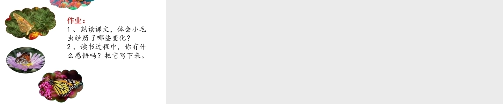 《22 小毛虫 》 第10套（省一等奖）优质课.ppt