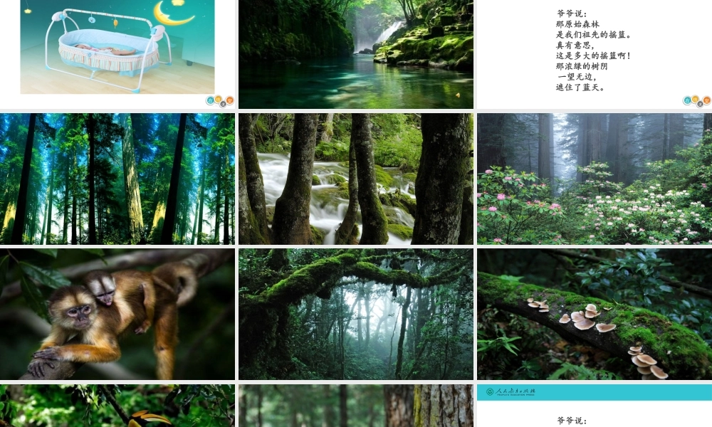 《23 祖先的摇篮3》【陈老师】【省级】优质课.ppt