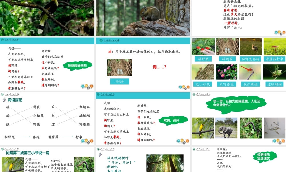 《23 祖先的摇篮3》【陈老师】【省级】优质课.ppt