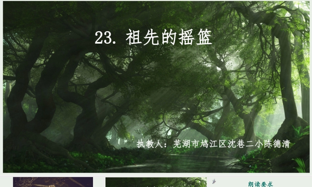《23 祖先的摇篮 》 第5套（省一等奖）优质课.pptx