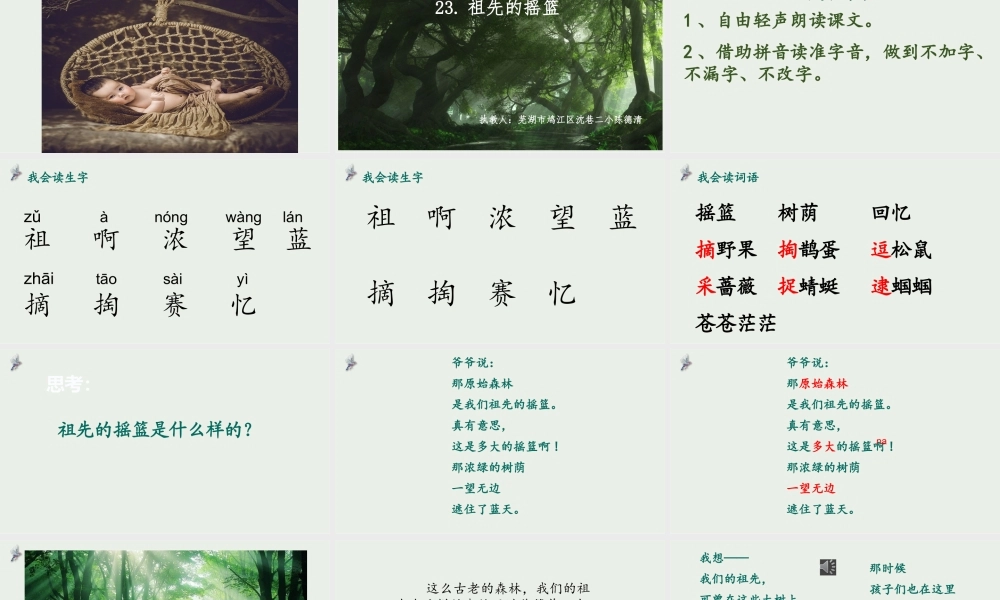《23 祖先的摇篮 》 第5套（省一等奖）优质课.pptx