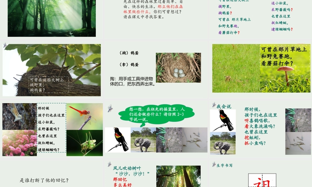 《23 祖先的摇篮 》 第5套（省一等奖）优质课.pptx