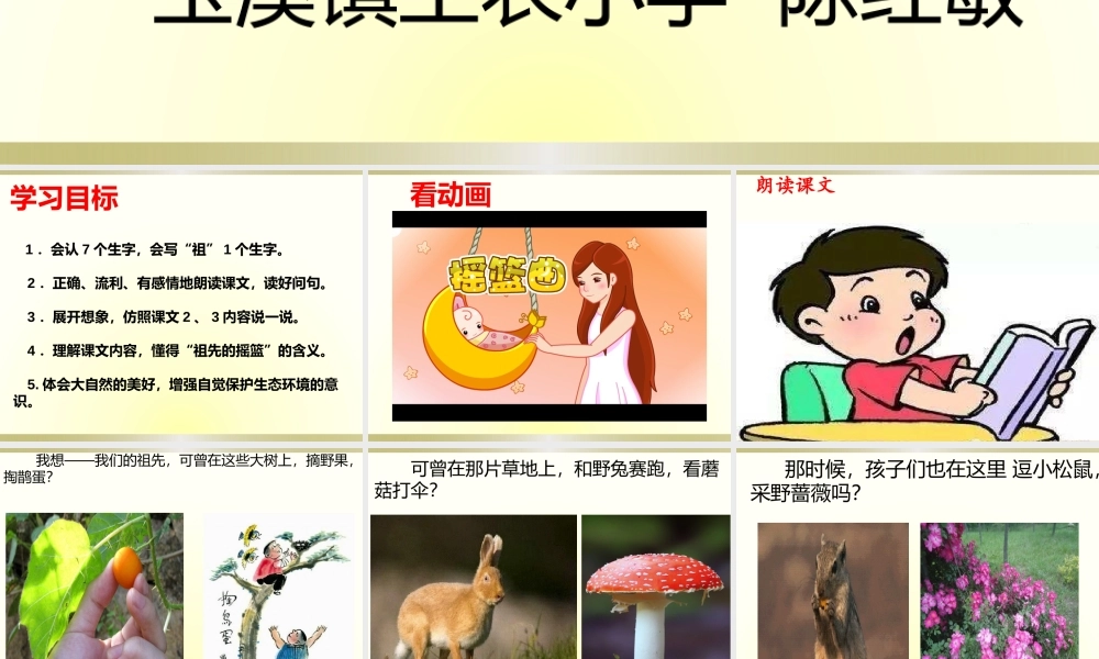 《23 祖先的摇篮1》优质课.pptx