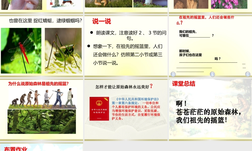 《23 祖先的摇篮1》优质课.pptx