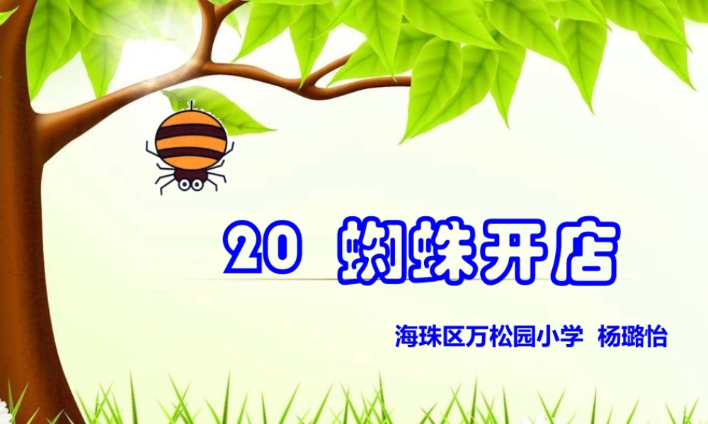 《20 蜘蛛开店 》 第5套（省一等奖）优质课.pptx