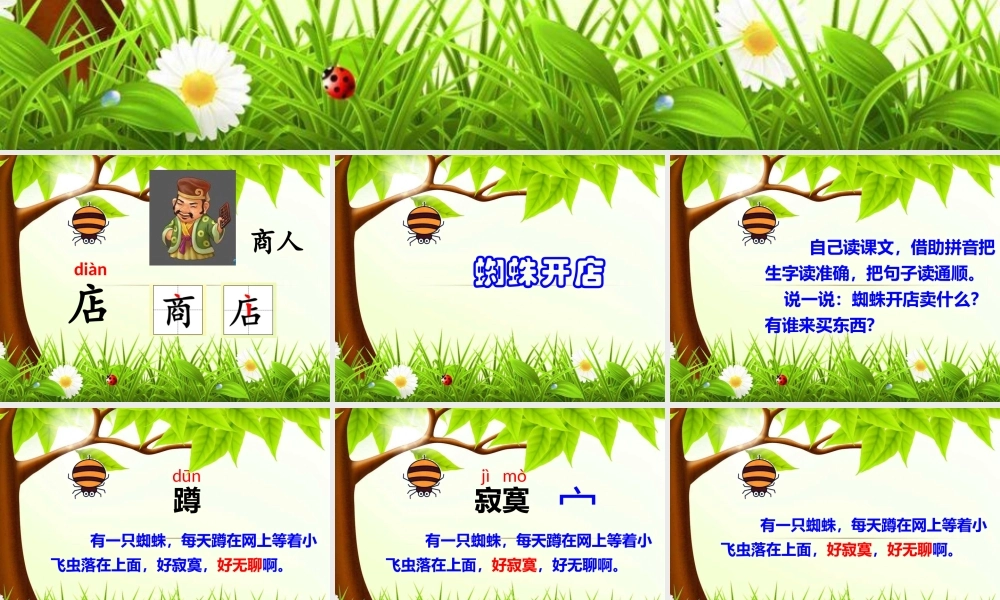 《20 蜘蛛开店 》 第5套（省一等奖）优质课.pptx