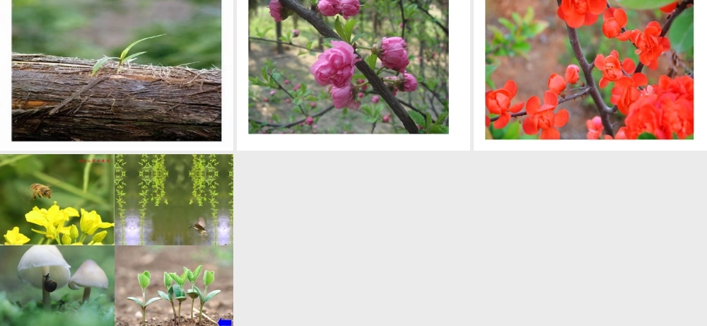 《2 找春天 》 第5套（省一等奖）优质课.ppt