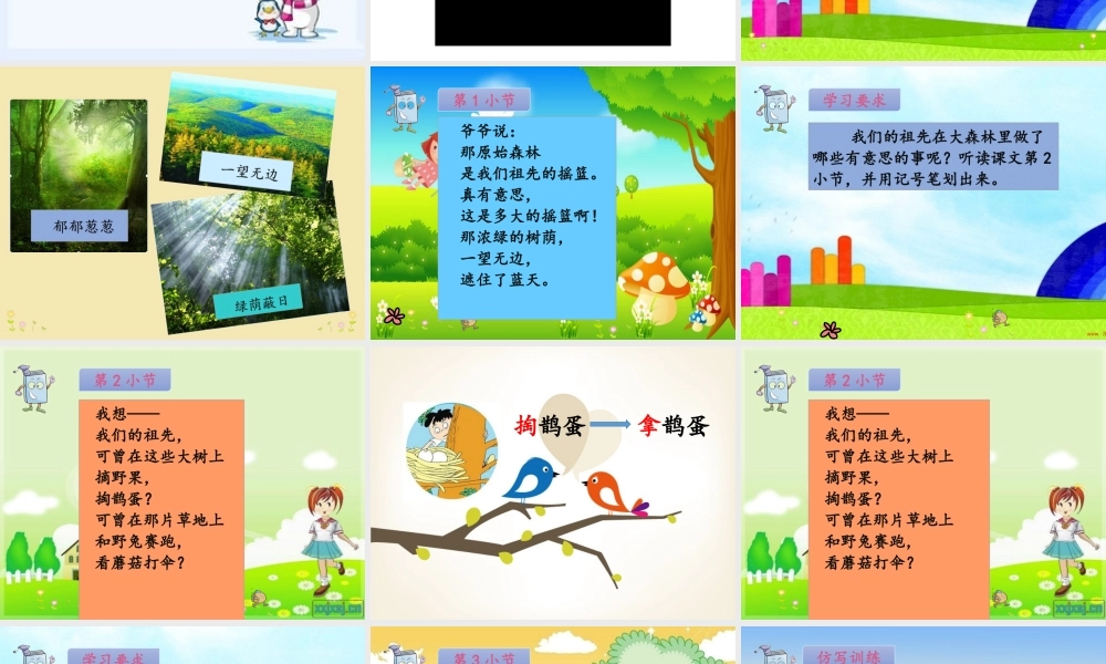 《23 祖先的摇篮 》 第7套（省一等奖）优质课.pptx